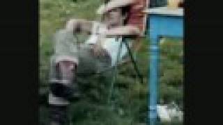 Lucio Battisti - Dove arriva quel cespuglio