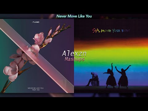 Never Move Like You - Flume & Sia (Mashup)