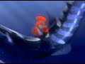 Finding Nemo VHS 2003