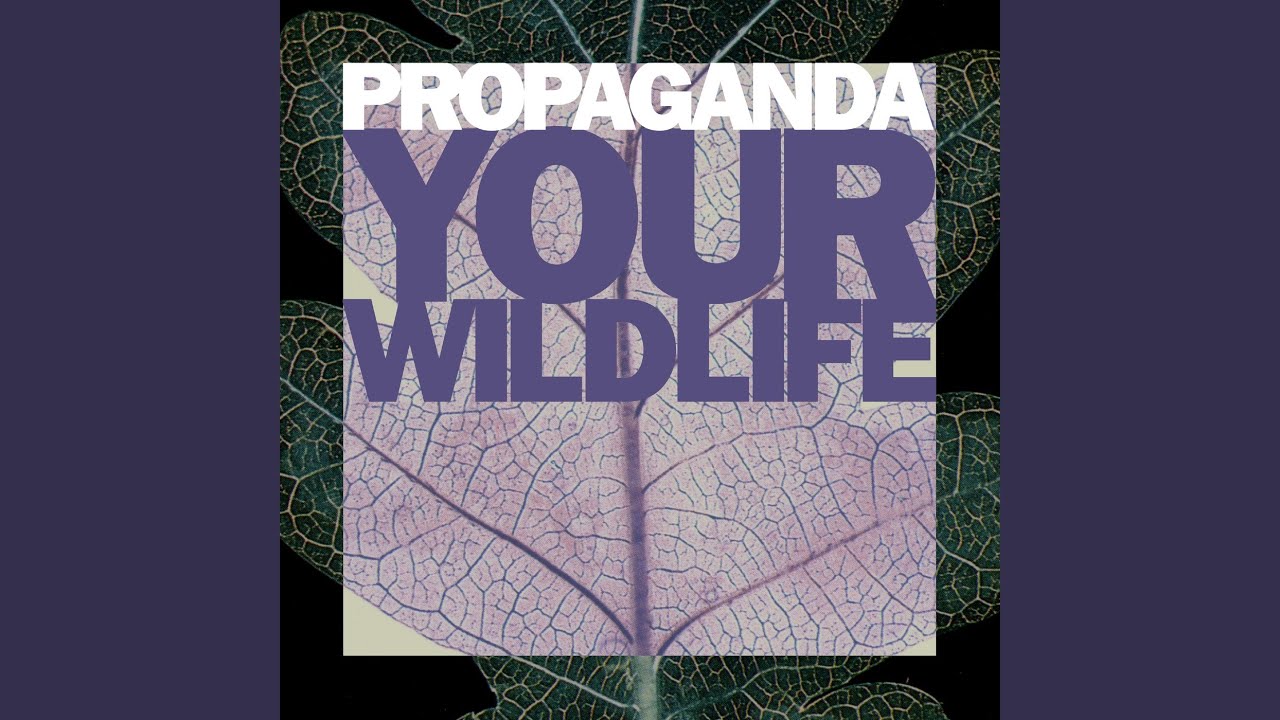 Propaganda - Vicious Circle