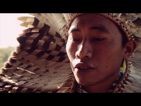 Maya Huni Kuin - Explica Dua Busã Damini