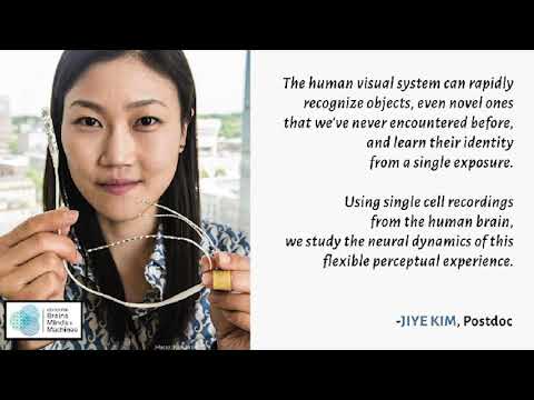 Kreiman lab introduction, 2020