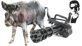 Is it OK to &#39;Hunt&#39; Feral Pigs with a Minigun?