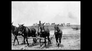 Gene Campbell - Levee Camp Man Blues