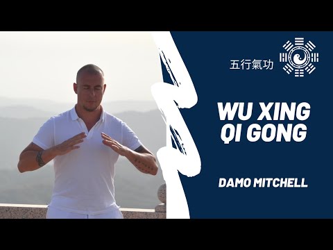 Wu Xing Qi Gong 五行氣功