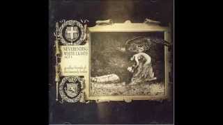 Neverending White Lights (feat. Nick Hexum of 311) - Age of Consent (New Order Cover)