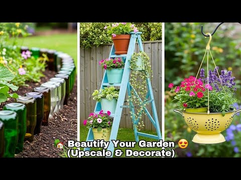 Cheap Ideas To Make Your GARDEN Beautiful | Reuse and Decorate 😍