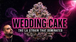 Wedding Cake: The Los Angeles Strain That Dominated the Cannabis Industry With Flavor Alone
