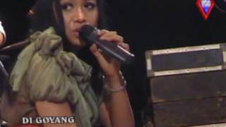 Download lagu New Pallapa  SEMAKIN SAYANG SEMAKIN KEJAM LILIN HERLINA mp3
