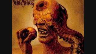 Vehemence - You Don&#39;t Have To Be Afraid Anymore