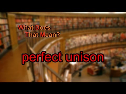 What does perfect unison mean?