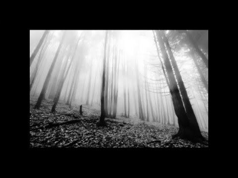 Depressive / Atmospheric Black Metal 1