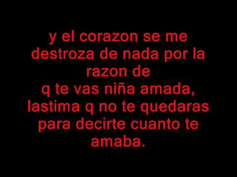 Niña Amada - Salserin