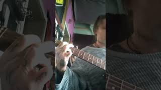 Cake Frank Sinatra Guitar Tutorial 2 chords and trumpet