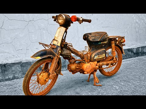 Thumbnail for 1986 Honda Super Cub C90 Full Restoration | Restored to New Condition by Honda Super Cub