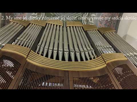 JKS 388 - Zaznite piesňou, údolia (Mariánska hymna)