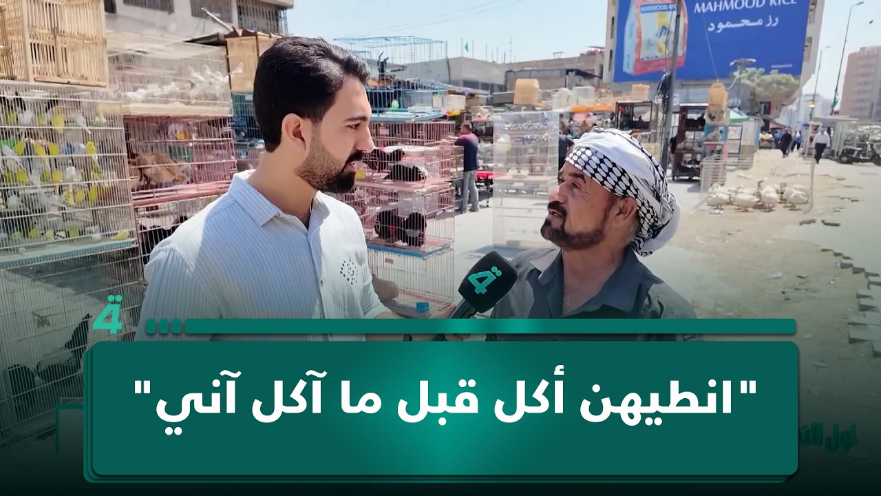 فيديو | مواطن يحب تربية الدجاج: "انطيهن أكل قبل ما آكل آني"