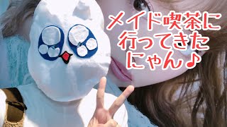 ペドにゃんの日記、読みたいにゃん？