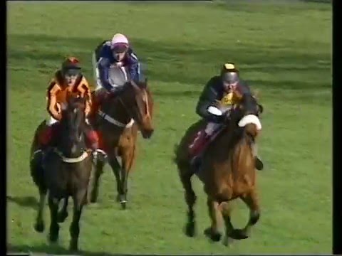 1994 Scilly Isles Novices' Chase