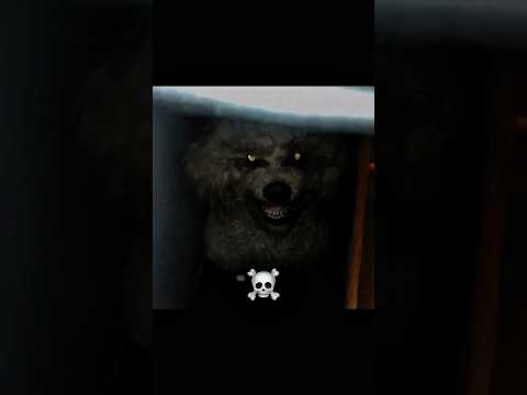 Skinwalkers do not exist ?