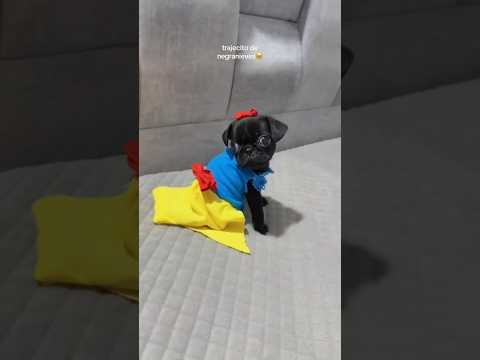 Qué tal mi diseño #humor