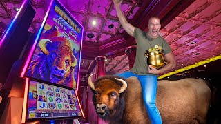 I Rode This Buffalo Slot to a Win!