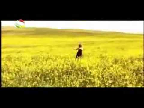 فیروزه دلم، خواننده تاجیک، می‌گوید: تاجیک‌ها نیمی از جمعیت افغانستان را تشکیل می‌دهند، اما اگر افغان یا افغانی خطاب شوند، آن را توهین تلقی می‌کنند، زیرا این نام ...