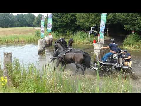 VINCENT Sebastien, FRA, CAI2# Exloo, H4, Marathon Ob 2, 15 08 2020