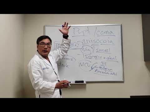 Pupil in Comatose Patients