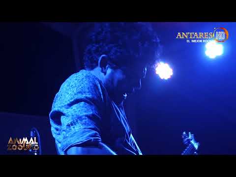 Maldita Flor - Julio Nava - Animal Zound Vol 4. Antares El Mejor Rock