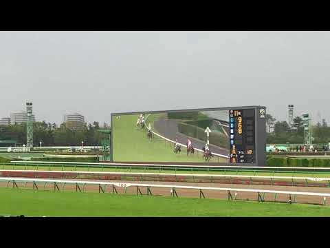 （競馬 現地の様子）2018中山グランドジャンプ オジュウチョウサン