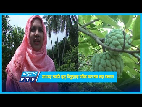 ব্যাংকের চাকরি ছেড়ে বিলুপ্তপ্রায় শরিফা ফল চাষ করে সফলতা | ETV News