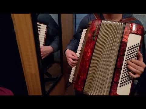 Dis Koliber - Piękna niedostępna -- WERSJA AKORDEON