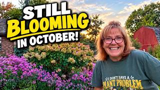 October Garden Tour 2026 | Fall Color, Flowers & a Few Surprises