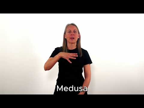 Medusa - LSC