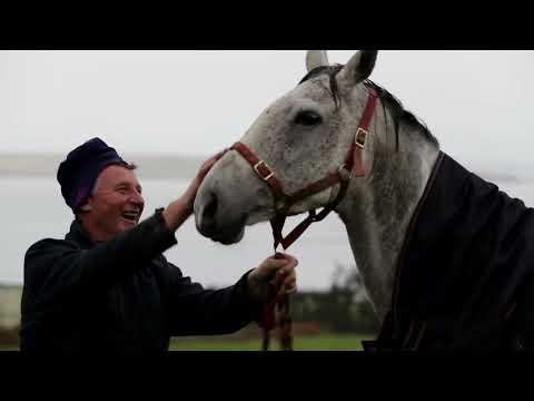 Green Road - Now I’m Easy