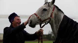 Green Road - Now I’m Easy