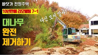 전원주택에 대나무 절대 키우지 마세요! 10년만에 재공사 들어갑니다. #대나무제거 #대나무베기