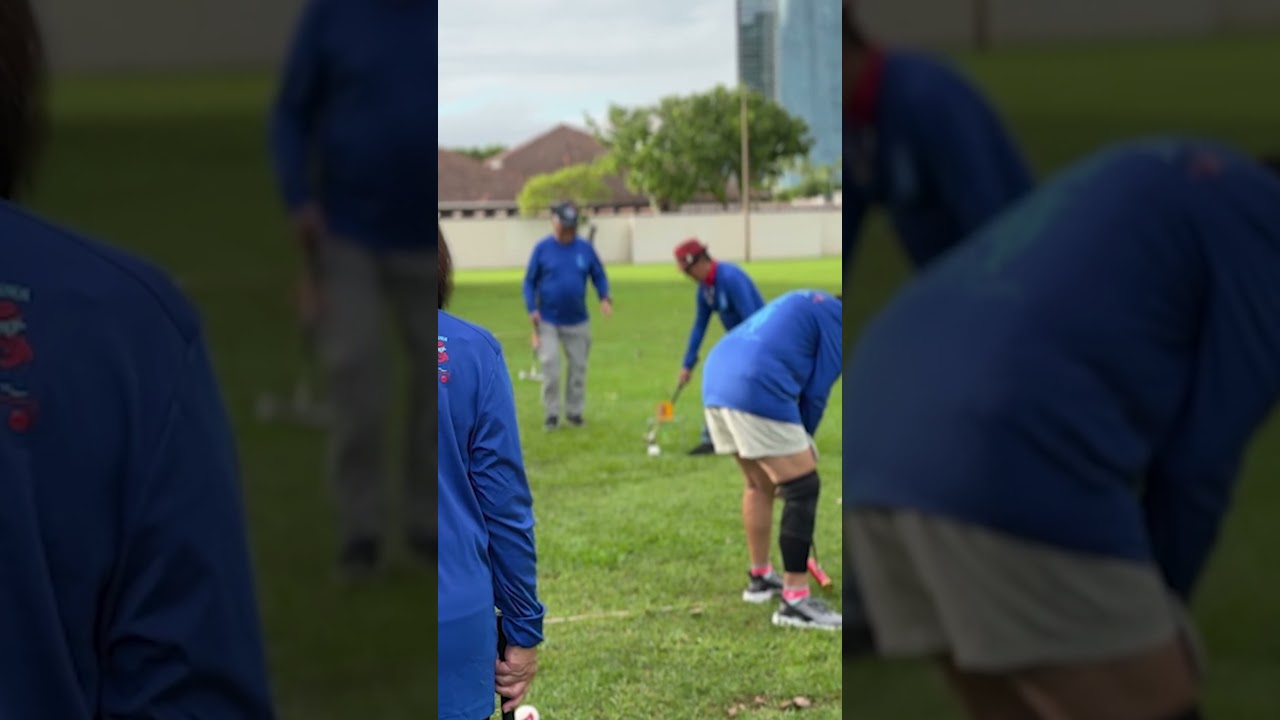 Gateball for Mental Health and Memory