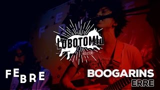 Boogarins - Erre @ Festival Febre