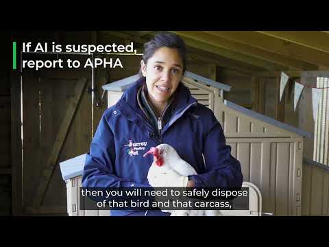APHA Avian Influenza - What is a protection zone?