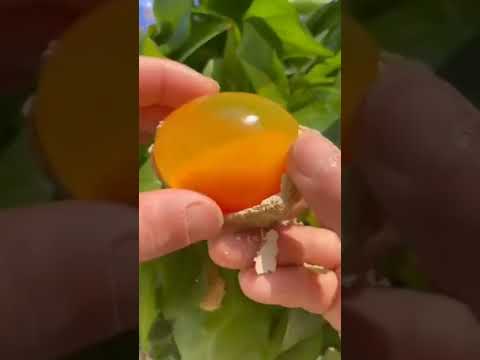 just Amazing #Sudeshna's world