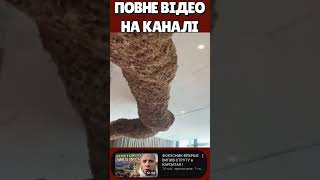 ЦЯ ШТУКА ПОБИЛА РЕКОРД УКРАЇНИ!