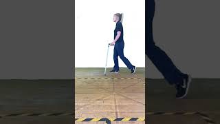 Walking with a walking stick