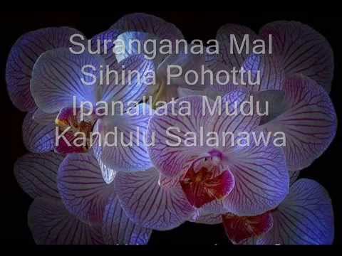 Surangana Mal,  සුරංගනා මල් - Ashoka Rajapaksha