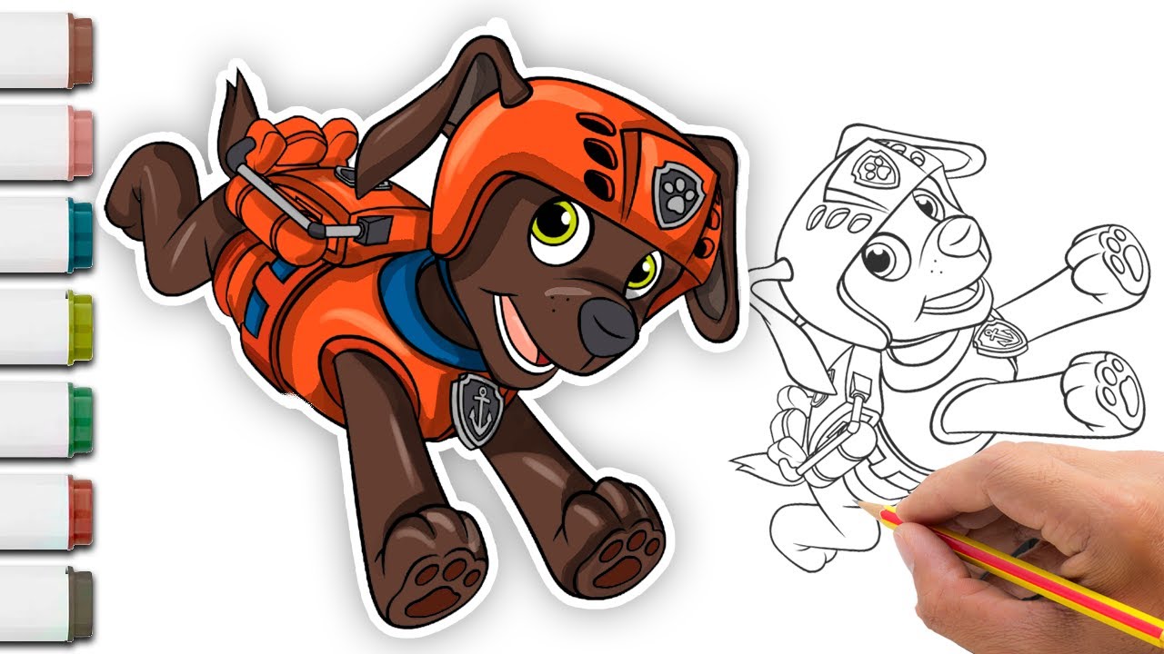 Como colorir Zuma, How to color Zuma | Patrulha Canina | Paw Patrol