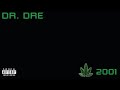 Dr Dre 2001 Full Album