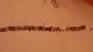 Forevermore-Katie Herzig//Stop Animation