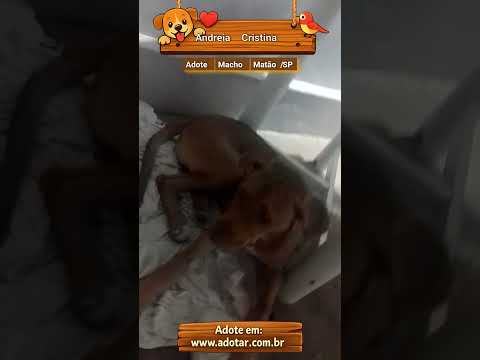 Vídeo de Andreia Cristina