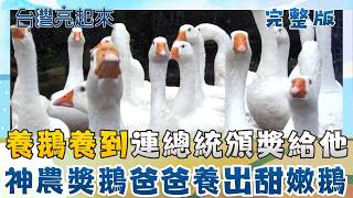 神農獎鵝爸爸爆紅！ 新屋鵝甜嫩到誇張! 黑手阿北逆襲！石滬修復藏百年與海共生智慧🌊 │朱培滋主持│【台灣亮起來完整版】20260322│三立新聞台